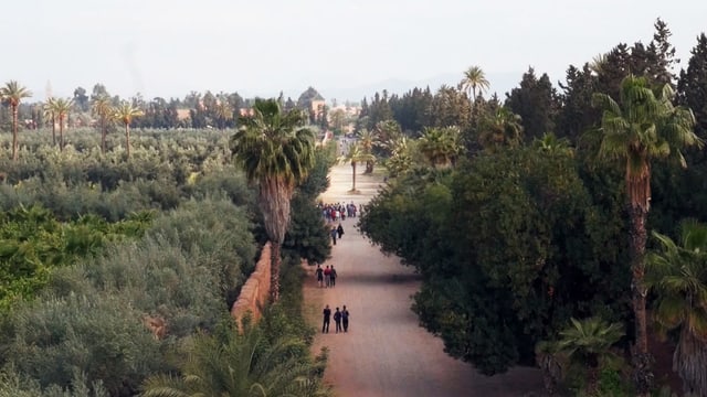 Agdal Gärten Von Marrakesch Magische Gärten – Marrakesch: Agdal - DOK - SRF