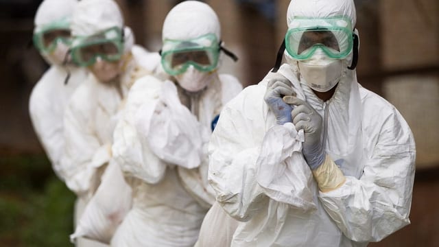 Mitarbeiter des nepalesischen Veterinärdienstes vernichten infizierte Vögel. Mitarbeiter des nepalesischen Veterinärdienstes vernichten infizierte Vögel.