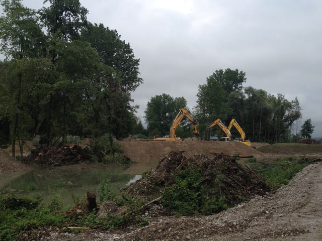 Aue Chly Rhii in Rietheim, August 2014. Bagger bauen einen Seitenarm. Aue Chly Rhii in Rietheim, August 2014. Bagger bauen einen Seitenarm.