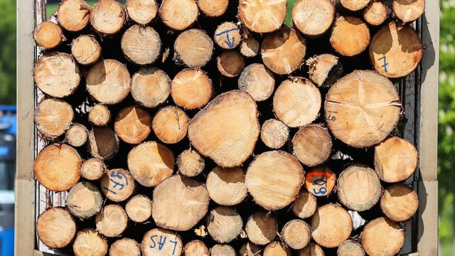 Stapel mit geschlagenen Holzstämmen Stapel mit geschlagenen Holzstämmen
