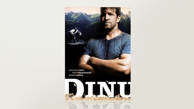 Dinu Dinu