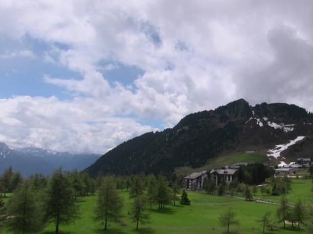 Hinter einer grünen Wiese mit einzelnen Tannen sind Häuser und ein Berg zu sehen. Am Himmel hat es viele Wolken, aber doch einige blaue Flecken.