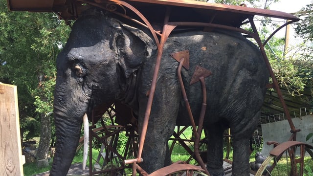 Ein ausgestopfter Elefant Ein ausgestopfter Elefant