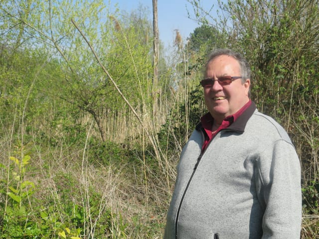Ein Mann mit einer grauen Jacke vor grünen Pflanzen. Ein Mann mit einer grauen Jacke vor grünen Pflanzen.