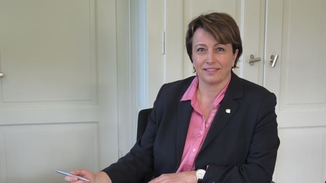 «Wir hatten zu wenig Personal an der Grenze» «Wir hatten zu wenig Personal an der Grenze»