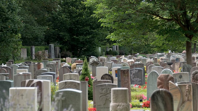Friedhof. Friedhof.