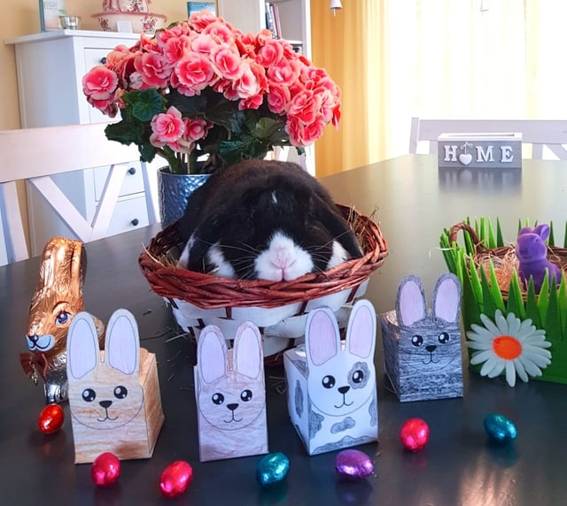 Ein Osterhase sitzt in einem Körbli.