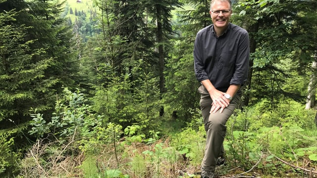 ein Mann steht im Wald ein Mann steht im Wald