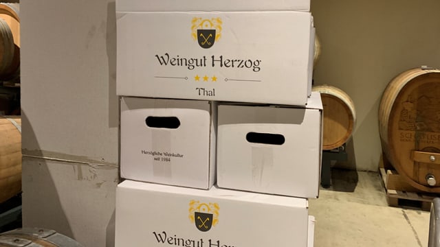 Das Weingut Herzog ist ein typischer Familienbetrieb in Thal/SG.
