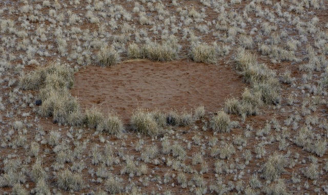 Ein Feenkreis in Namibia.