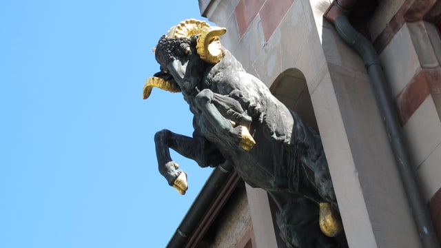 Ein Schaffhauser Bock springt aus einer Mauer Ein Schaffhauser Bock springt aus einer Mauer