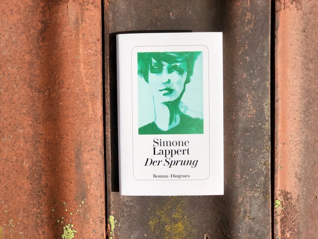 Der Roman «Der Sprung» von Simone Lappert liegt auf einem Ziegel. Der Roman «Der Sprung» von Simone Lappert liegt auf einem Ziegel.