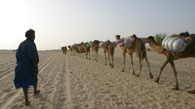 Ein Bild aus friedlichen Zeiten: Eine Karawane verlässt Timbuktu. Ein Bild aus friedlichen Zeiten: Eine Karawane verlässt Timbuktu.