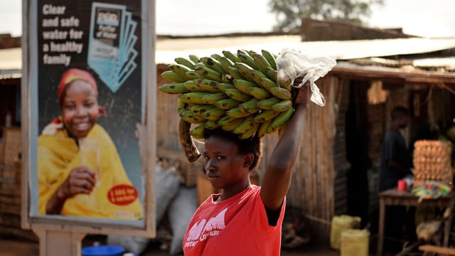 Eine Frau trägt in Südsudan eine Bananenstaude. Eine Frau trägt in Südsudan eine Bananenstaude.