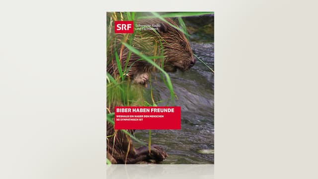 Biber haben Freunde Biber haben Freunde
