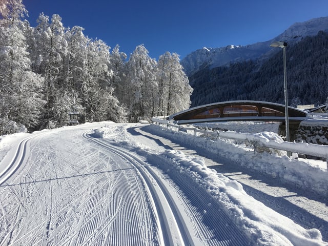 Winter von der schönsten Seite. Eine frisch präparierte Langlaufloipe und weisse Bäume im Hintergrund. Winter von der schönsten Seite. Eine frisch präparierte Langlaufloipe und weisse Bäume im Hintergrund.