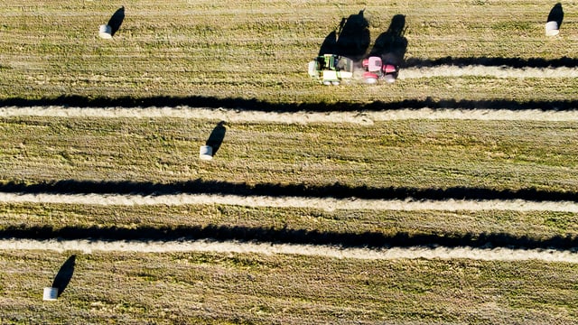 Ein Feld mit Heuballen von oben. Ein Feld mit Heuballen von oben.