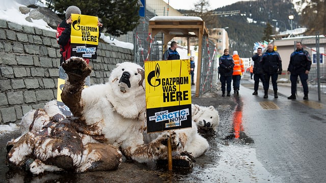 Als ölverschmutzte Eisbären verkleidete Greenpeace-Aktivisten mit Bannern, auf denen steht: «Gazprom war hier.» Als ölverschmutzte Eisbären verkleidete Greenpeace-Aktivisten mit Bannern, auf denen steht: «Gazprom war hier.»