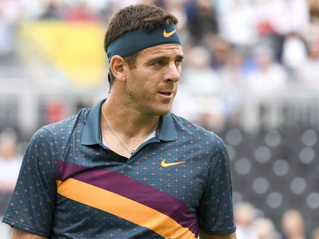 Juan Martin del Potro Juan Martin del Potro
