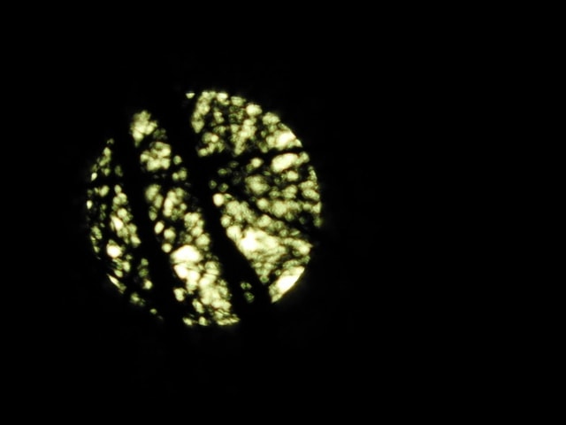 Vollmond hinter Bäumen. Vollmond hinter Bäumen.