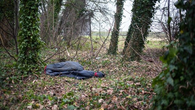 Ein Schlafsack im Wald. Ein Schlafsack im Wald.