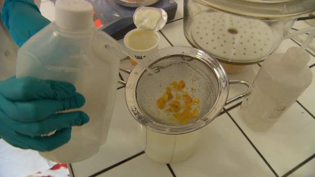 Früchtejoghurt-Probe im Labor Früchtejoghurt-Probe im Labor