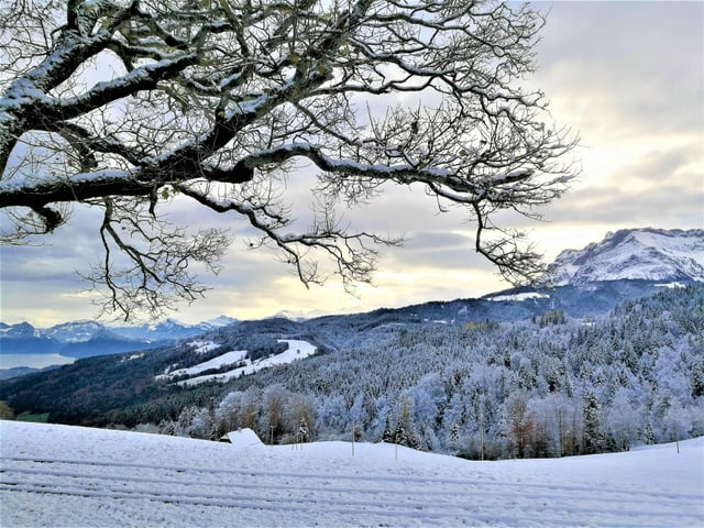 Blick aus dem Schnee bis unter die Schneefallgrenze Blick aus dem Schnee bis unter die Schneefallgrenze