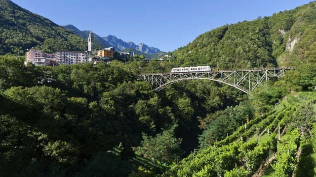 ein grosser Wald im Hintergrund, im Vordergrund eine Zugbrücke ein grosser Wald im Hintergrund, im Vordergrund eine Zugbrücke