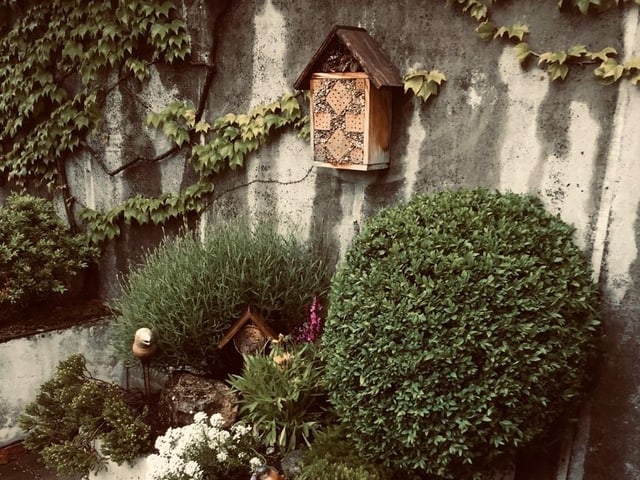 Dachgarten bim Bienenhaus und viel Grün rundherum.