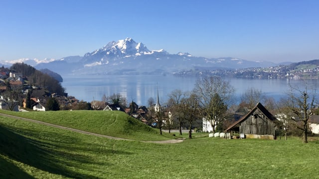 Kräftig grüne Wiesen bei Greppen und dahinter die verschneite Spitze des Pilatus. Kräftig grüne Wiesen bei Greppen und dahinter die verschneite Spitze des Pilatus.