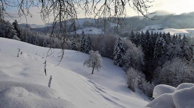 Verschneite Winterlandschaft im Tössbergland. Verschneite Winterlandschaft im Tössbergland.