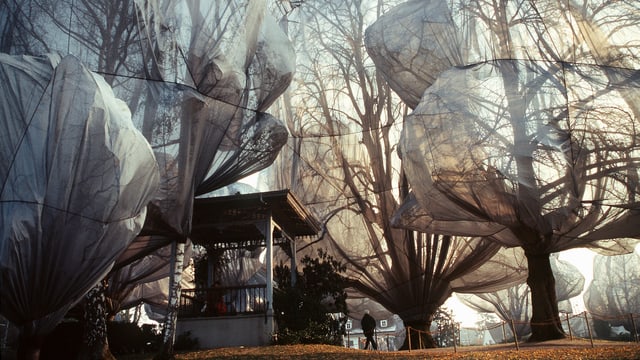 Eingepackte Bäume in Riehen nähe Basel, 1998: eines von vielen Projekten des Künstlerpaars Christo und Jeanne-Claude. Eingepackte Bäume in Riehen nähe Basel, 1998: eines von vielen Projekten des Künstlerpaars Christo und Jeanne-Claude.
