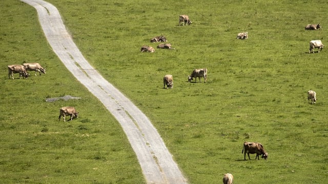 Landwirtschaftsfeld von oben. Landwirtschaftsfeld von oben.