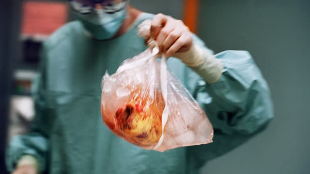 Ein Arzt in OP-Kleidung trägt ein eisgekühltes Herz in einer Plastiktüte in den Operatinssaal.