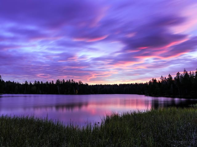 Violette Wolken über kleinem See mit Tannen