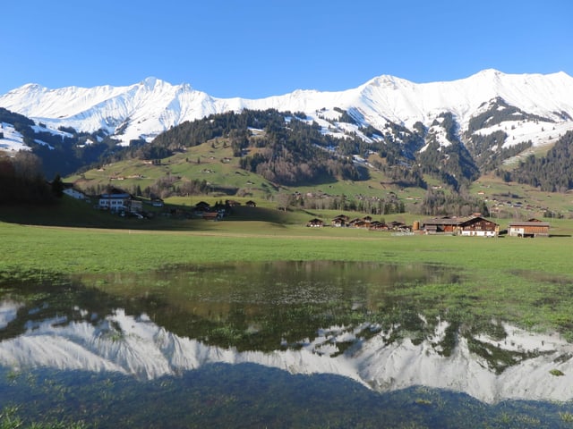 Weisse Berggipfel spiegeln sich im See innerhalb einer grünen Wiese