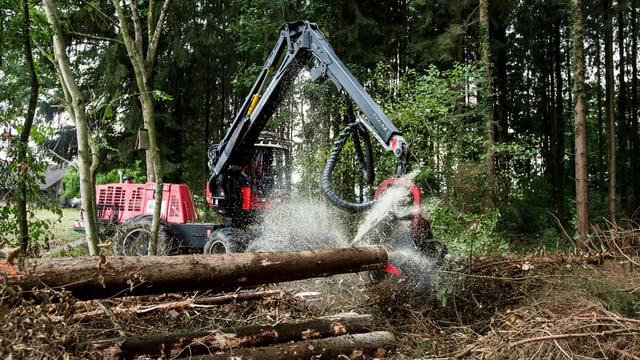 Wald und Bagger Wald und Bagger