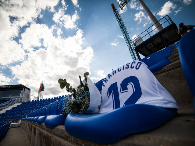 Blumen auf Fussballsitzplatz.