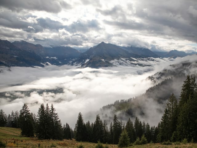 Im Bereich der Voralpen, unten liegt Nebel, dazwischen ist es aufgehellt und oben gibt es wieder dichtere Wolken.