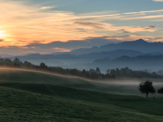 Alpweide mit Bodennebel, Berge im Hintergrund