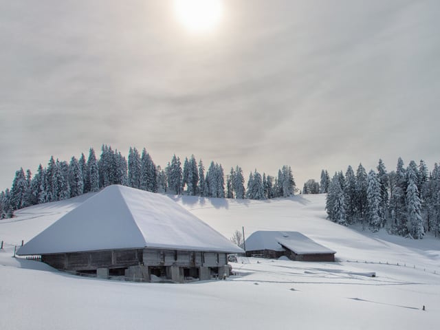 Schneelandschaft.