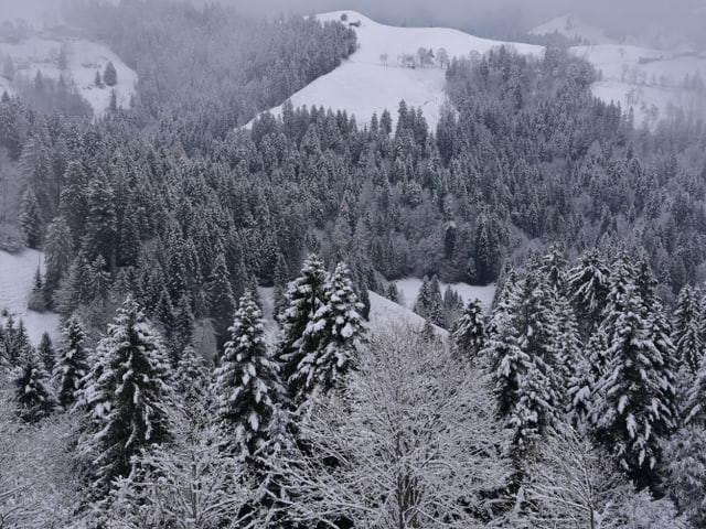 Schneelandschaft aus der Luft.