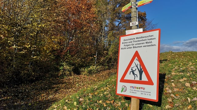 Schild Schild