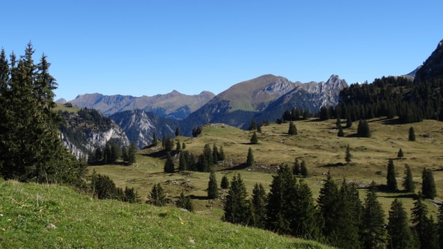 Grüne Hügel unter dunkelblauem Himmel im Diemtigtal. Grüne Hügel unter dunkelblauem Himmel im Diemtigtal.