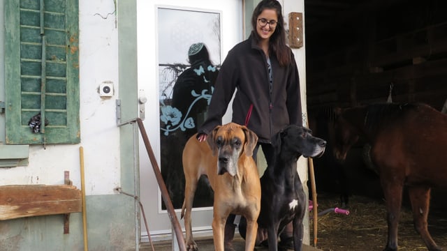 2 Hunde und eine Frau stehen vor einer Haustür 2 Hunde und eine Frau stehen vor einer Haustür