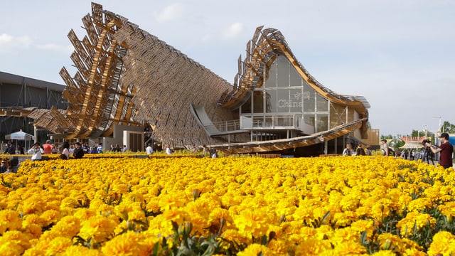 Blumenmeer vor dem chinesischen Pavillon an der Expo. Blumenmeer vor dem chinesischen Pavillon an der Expo.