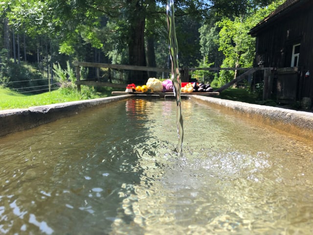 Brunnen Brunnen