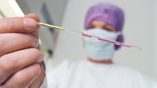 Eine Labormitarbeiterin hält eine Pailette mit befruchteten Eizellen in die Kamera. Eine Labormitarbeiterin hält eine Pailette mit befruchteten Eizellen in die Kamera.