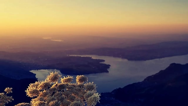 Blick vom Stanserhorn auf den Vierwaldstättersee. Blick vom Stanserhorn auf den Vierwaldstättersee.