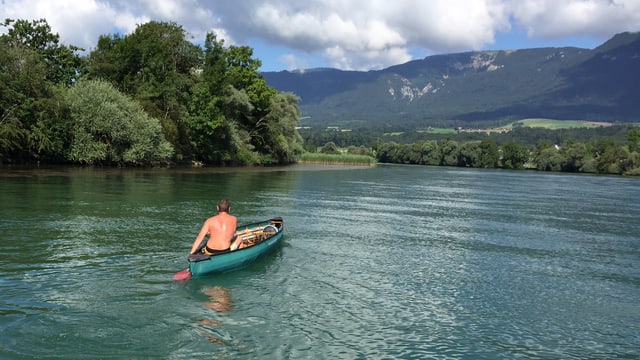 Ein Kanufahrer auf der Aare Ein Kanufahrer auf der Aare